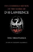 The Trespasser