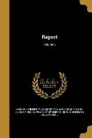 REPORT V06