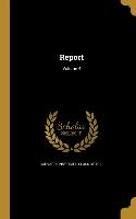 REPORT V04