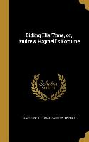 Biding His Time, or, Andrew Hapnell's Fortune