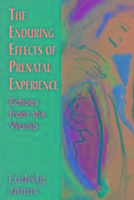 The Enduring Effects of Prenatal Experience