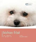 Bichon Frise