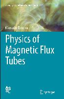 Physics of Magnetic Flux Tubes