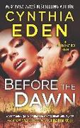 Before the Dawn: A Novel of Romantic Suspense