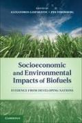 Socioeconomic and Environmental Impacts of Biofuels: Evidence from Developing Nations