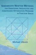 Semismooth Newton Methods for Variational Inequalities and Constrained Optimization Problems in Function Spaces