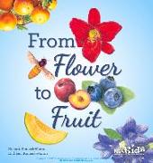 FROM FLOWER TO FRUIT