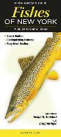 Freshwater Fishes of New York: A Guide to Game Fishes