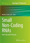 Small Non-Coding RNAs