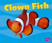 CLOWN FISH