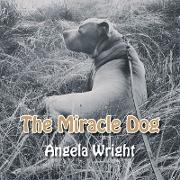 MIRACLE DOG