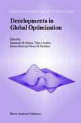 Developments in Global Optimization