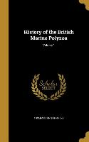 HIST OF THE BRITISH MARINE POL