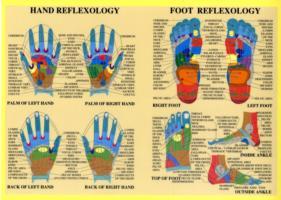 Hand & Foot Reflexology -- A2