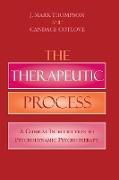 The Therapeutic Process