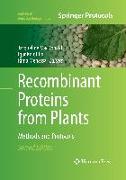 Recombinant Proteins from Plants