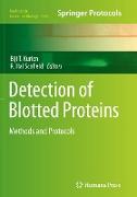 Detection of Blotted Proteins