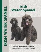 Irish Water Spaniel