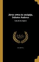 Jávor orvos és szolgája, Bakator Ambrus: Szeszélyes regény