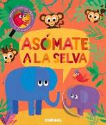 Asómate a la Selva