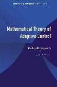 Mathematical Theory of Adaptive Control