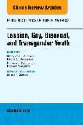 Lesbian, Gay, Bisexual, and Transgender Youth, an Issue of Pediatric Clinics of North America: Volume 63-6