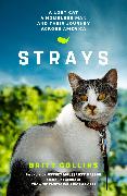 Strays