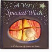 A Very Special Wish