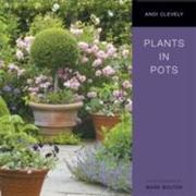 Plants in Pots