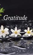 Gratitude (Collection of Meditations, Quotes, and More)