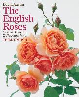 ENGLISH ROSES 3/E