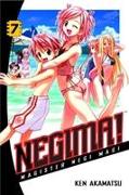 Negima volume 7