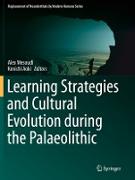 Learning Strategies and Cultural Evolution during the Palaeolithic