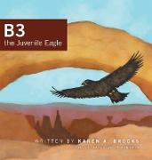 B3 the Juvenile Eagle