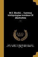 M.E. Blochii ... Systema ichthyologiae iconibus CX illustratum, v.2