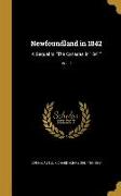 Newfoundland in 1842: A Sequel to The Canadas in 1841, Vol. II