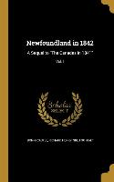 Newfoundland in 1842: A Sequel to The Canadas in 1841, Vol. I