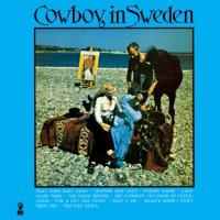 Cowboy In Sweden