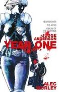 Judge Anderson: Year One