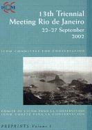 Icom Committee for Conservation 13th Triennial Meeting Rio de Janeiro