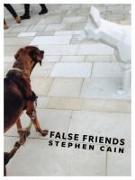 FALSE FRIENDS