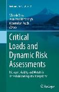 Critical Loads and Dynamic Risk Assessments