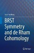 BRST Symmetry and de Rham Cohomology