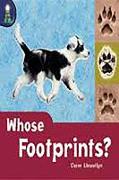 Rigby Lighthouse: Leveled Reader 6pk (Levels E-I) Whose Footprints? [With Teacher's Guide]