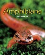 AMPHIBIANS-W/TG-6PK