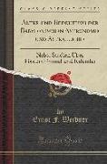 Alter Und Bedeutung Der Babylonischen Astronomie Und Astrallehre: Nebst Studien Über Fixsternhimmel Und Kalender (Classic Reprint)