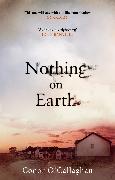 Nothing on Earth