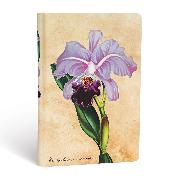 Hardcover Notizbücher Botanikmalerei Brasilianische Orchidee Mini Liniert