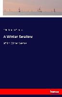 A Winter Swallow