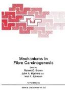 Mechanisms in Fibre Carcinogenesis